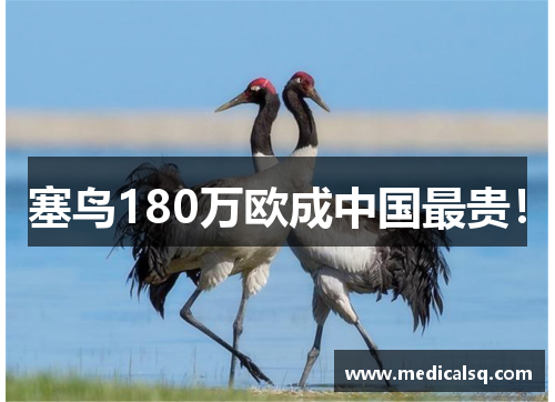 塞鸟180万欧成中国最贵！